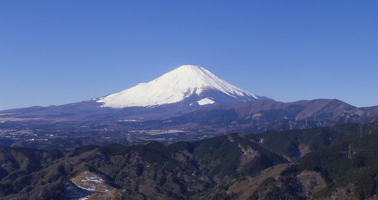 ���R�x�e�ɂ���̕x�m�R