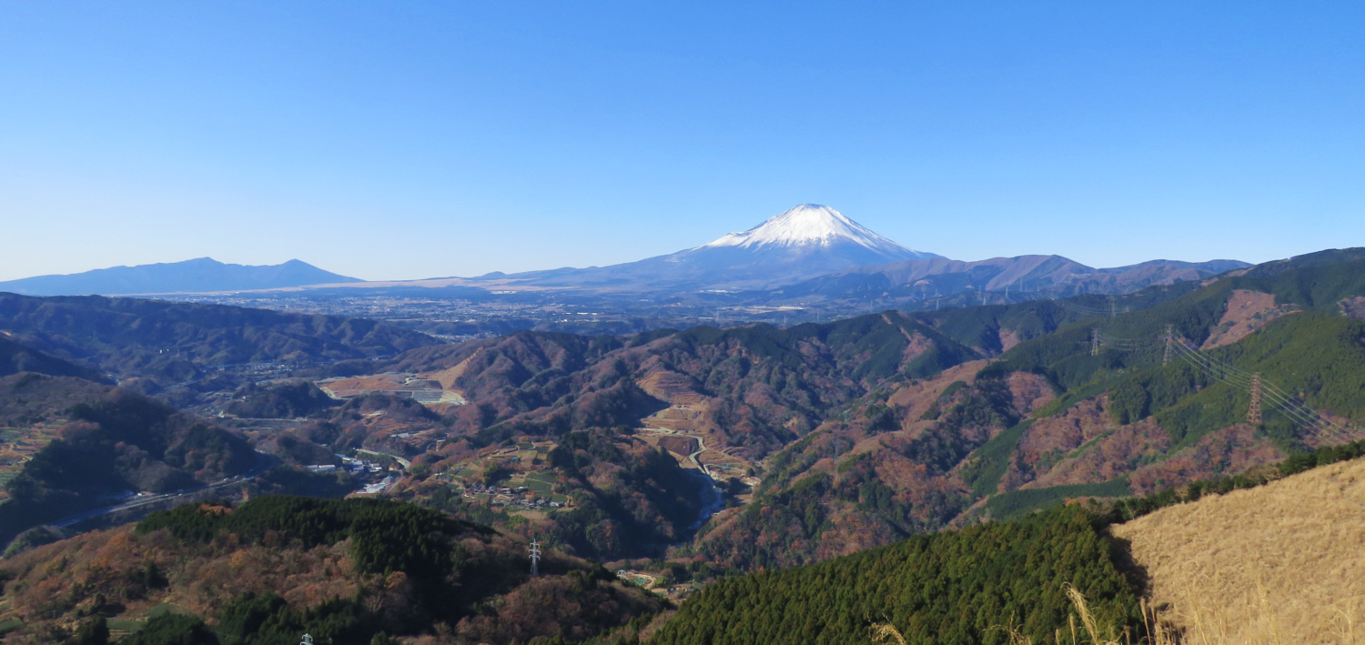 ���R�̋x�e�ɂ���̂���̕x�m�R�ƈ���R