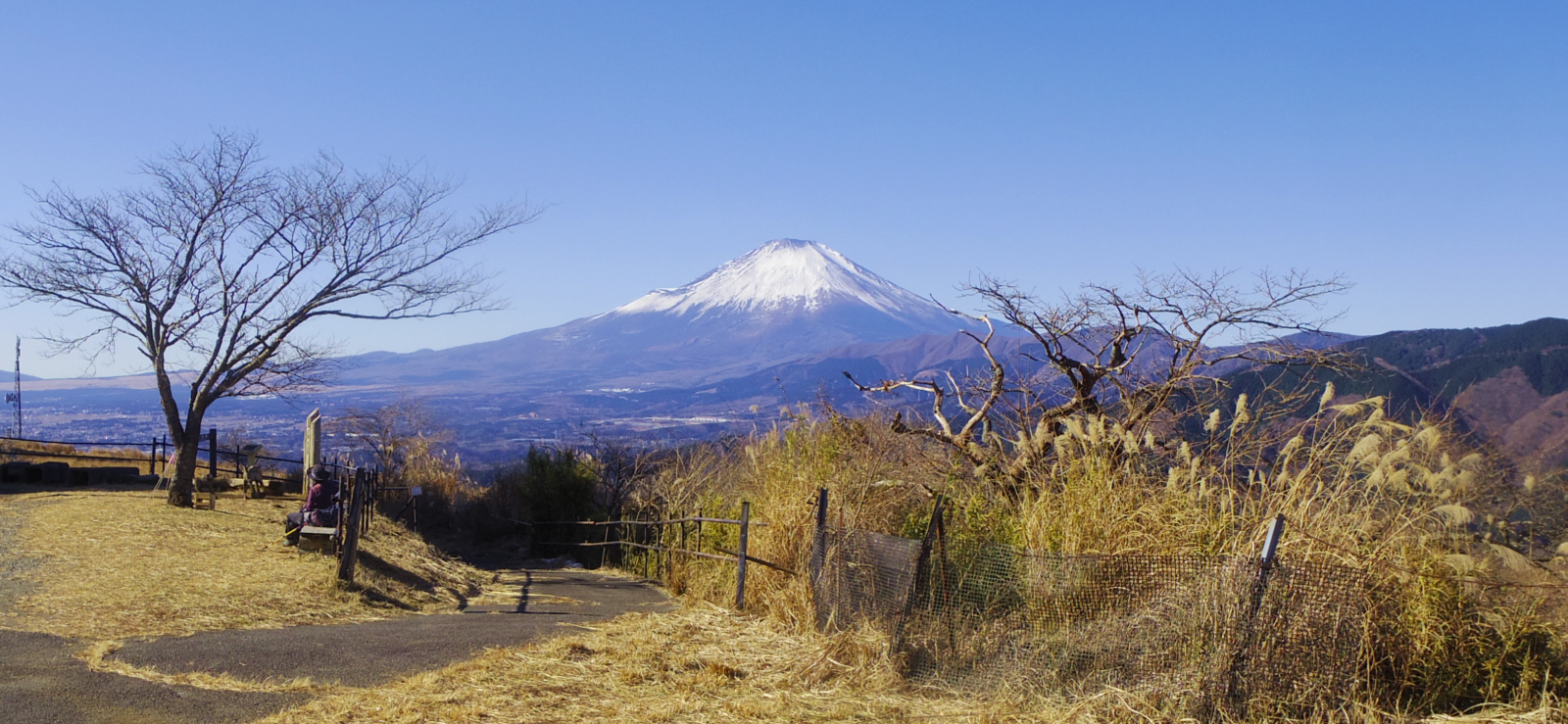 ���R�x�R������̕x�m�R