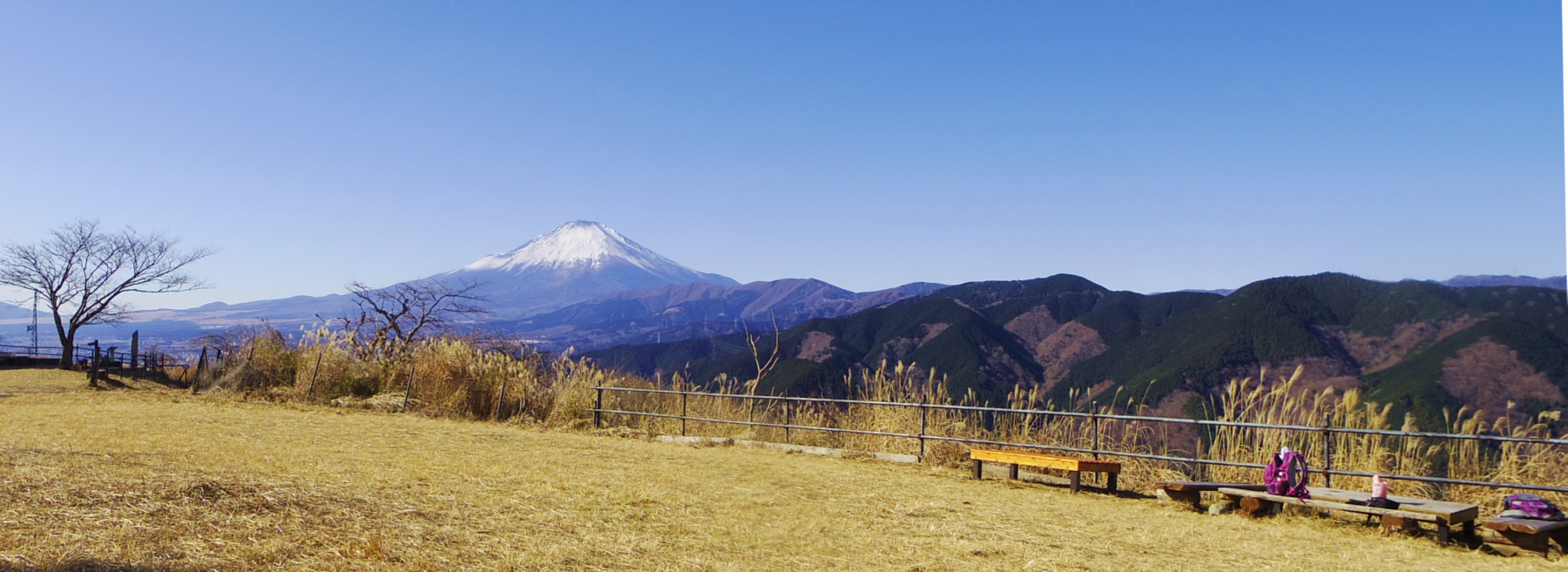 ���R�x�R������̕x�m�R�ƎO���R�łƕs�V�R