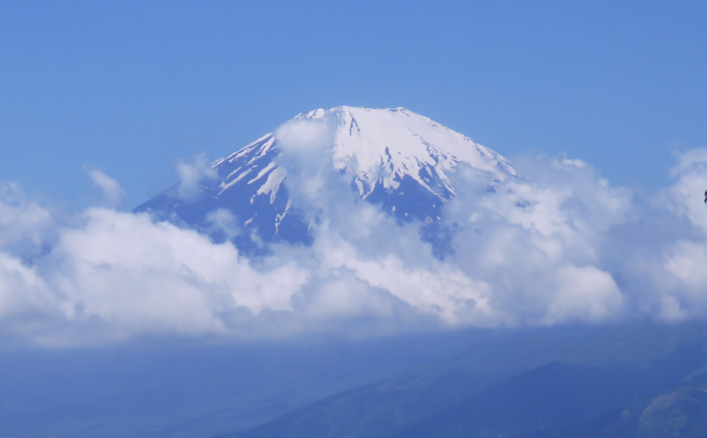 ���R�R������̕x�m�R�R��