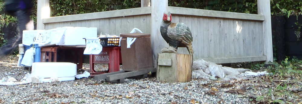 ���R�����̖��l�̔�