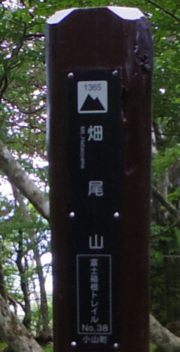 �O���R�Ŕ����R�̕\����