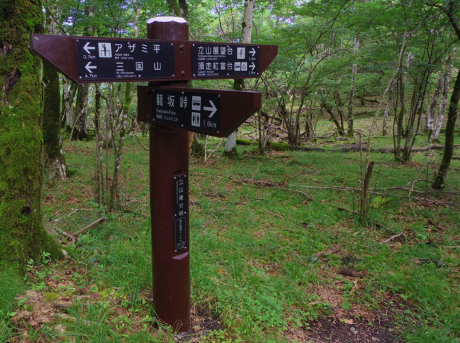 �O���R�ŗ��R������̕\����