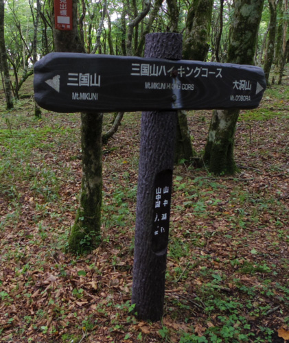 �O���R�Ńd�i���̕\����