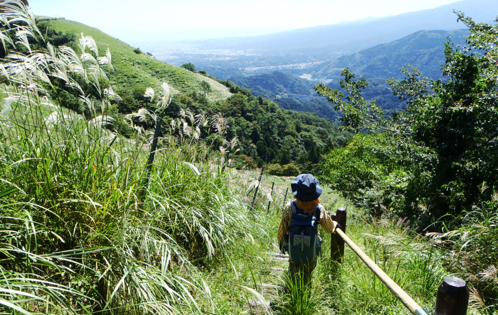 �C�k�N�r������n����ɉ���