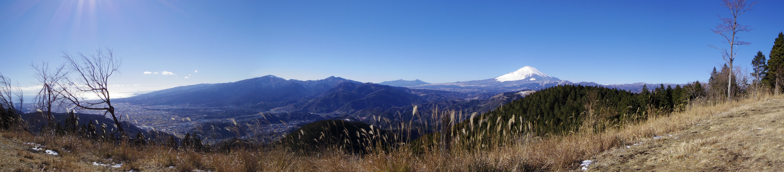 �����R�R������̕x�m�R�������W�]�@�i3200*705�j