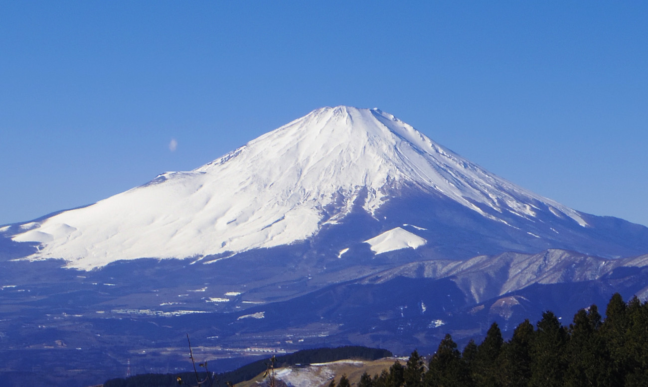 �����R�R������̕x�m�R(7�j�@�x�m�R�𒆉��ɂ���