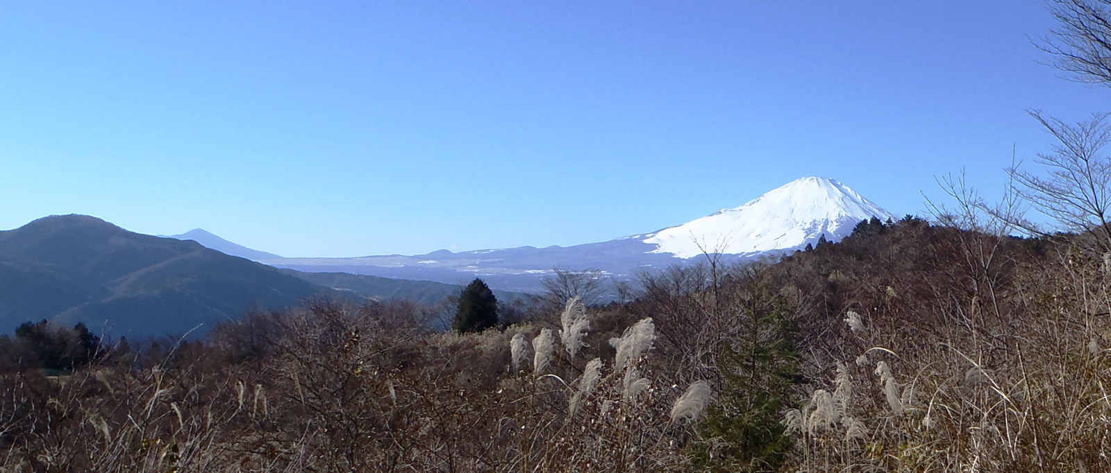 �����R�x�m���䂩��̕x�m�R