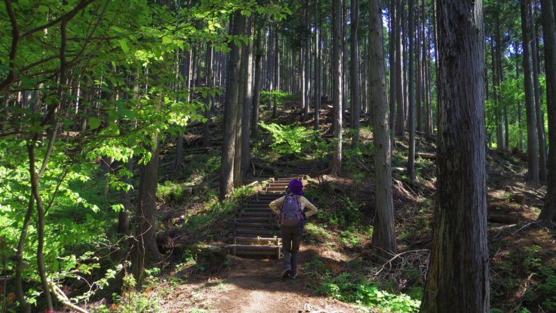 最後の急坂、階段250段