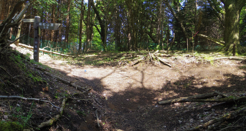 階段を上ると、分岐。右が高松山山頂。
