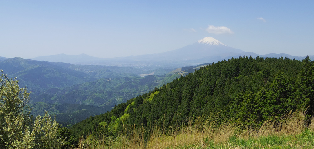 5月の空に富士山と愛鷹山