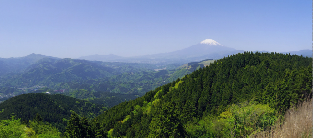 高松山からの富士山と愛鷹山。その左下には金時山、矢倉岳、鳥手山。