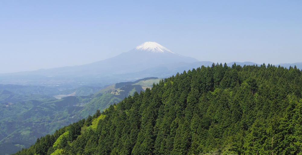 高松山からの富士山。富士山の前に大野山。