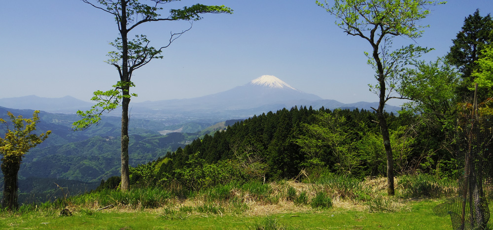 高松山からの富士山。