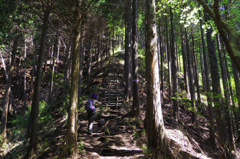 階段を上ります