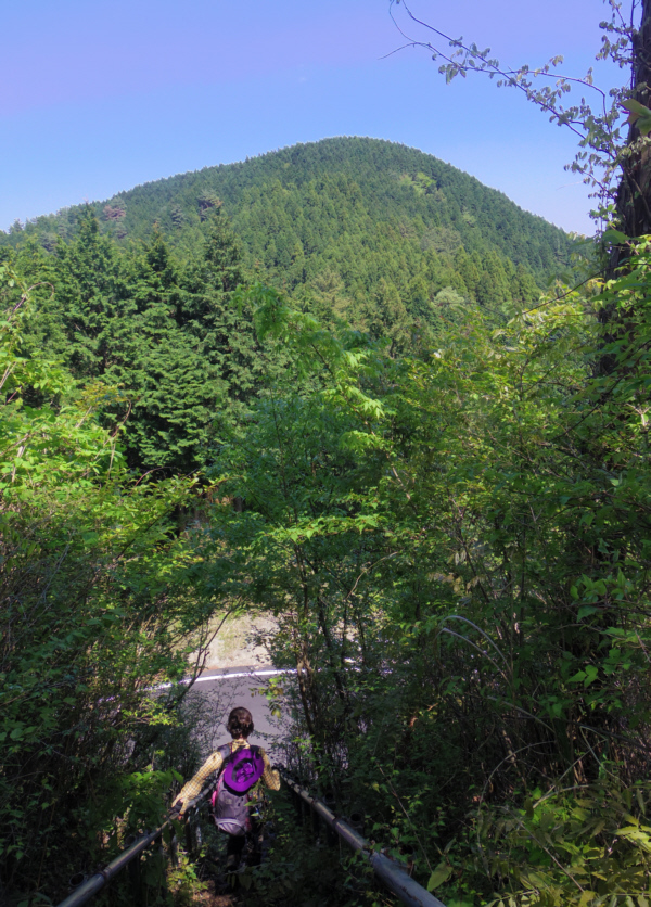 急階段を下りていきます。