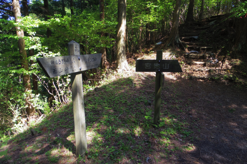 宮地山分岐。シダンゴ山まで0.3km。