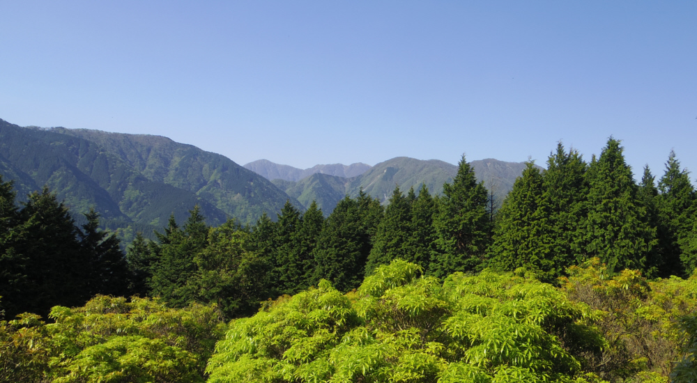 前の山が、雨山、鍋割山、塔ノ岳、中央奥に蛭ヶ岳