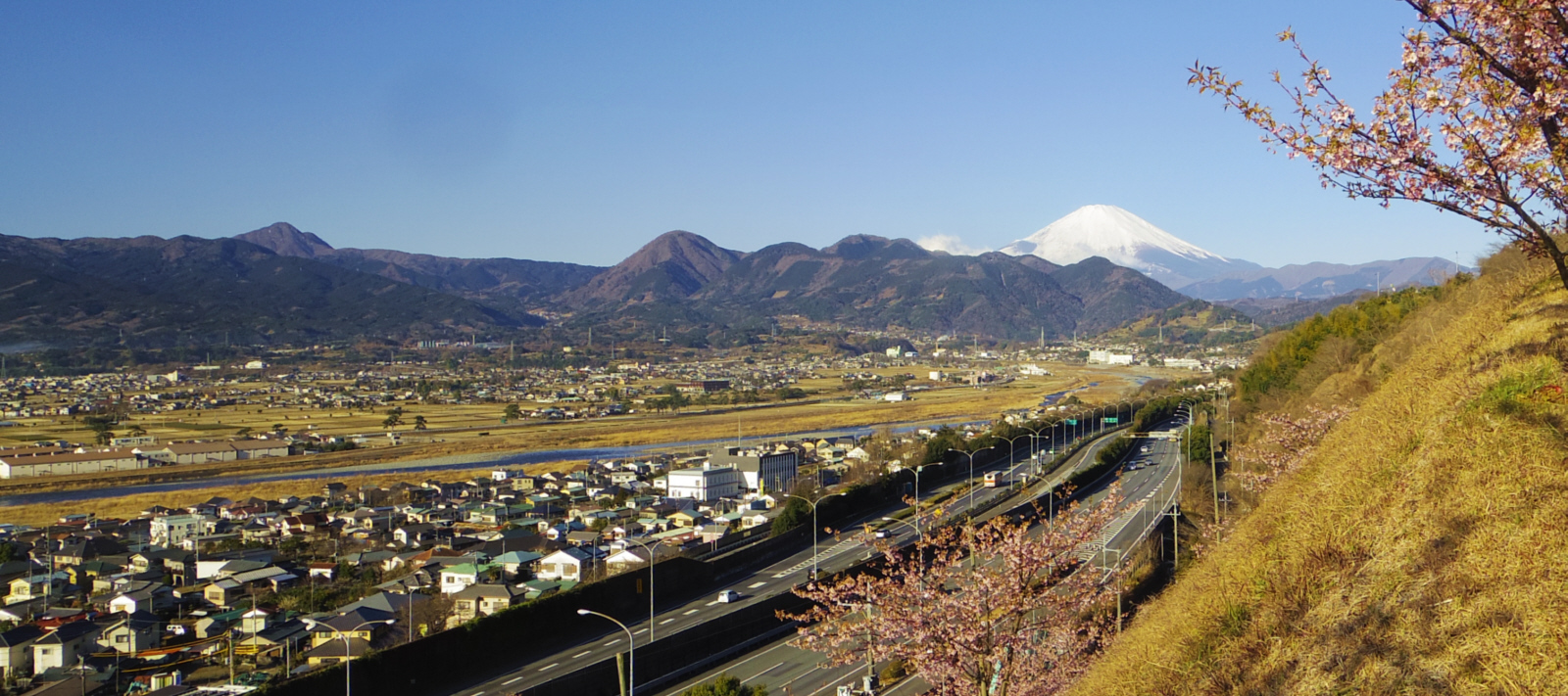 ���c�R��������̕x�m�R