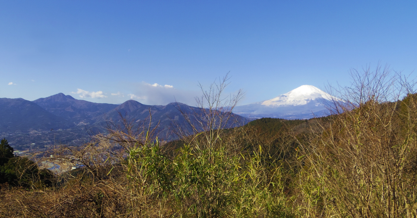 ���c�R�Ŗ����j�Ռ����̍��̐Δ肩��̕x�m�R