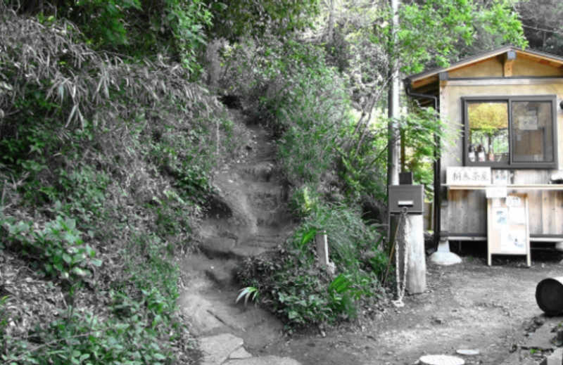 左側の道が天園ハイキングコース