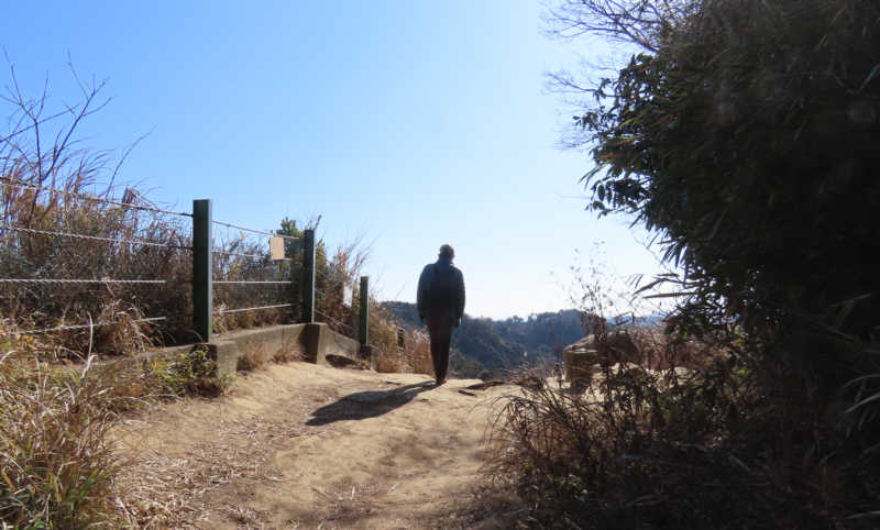 大平山　海抜159.2ｍ