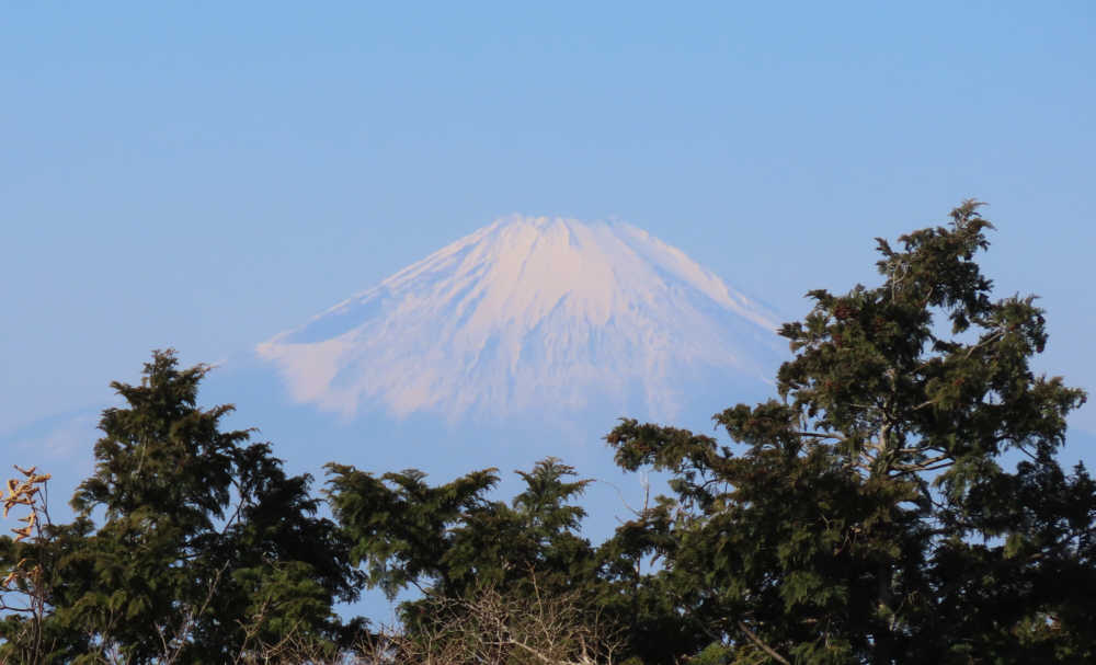 大平山下の広場からの富士山