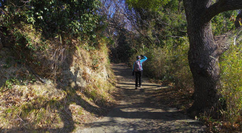 ゆるやかな坂道の農道