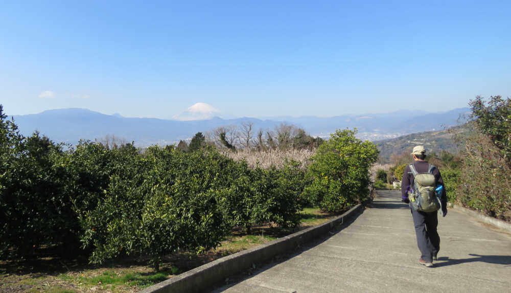 六本松方向に進みます