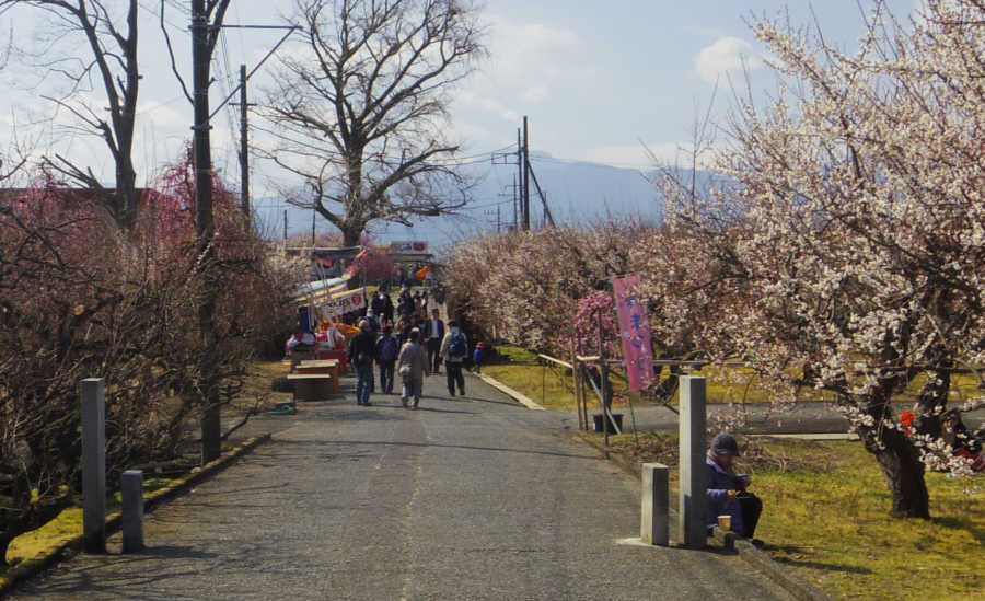 食べ物屋の露店が並びます