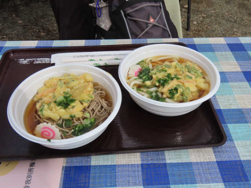 梅の木食堂の天ぷらうどんと天ぷらそば