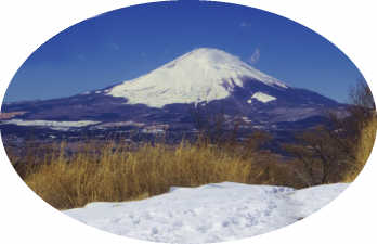 矢倉岳雪の山頂