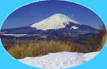 矢倉岳雪の山頂