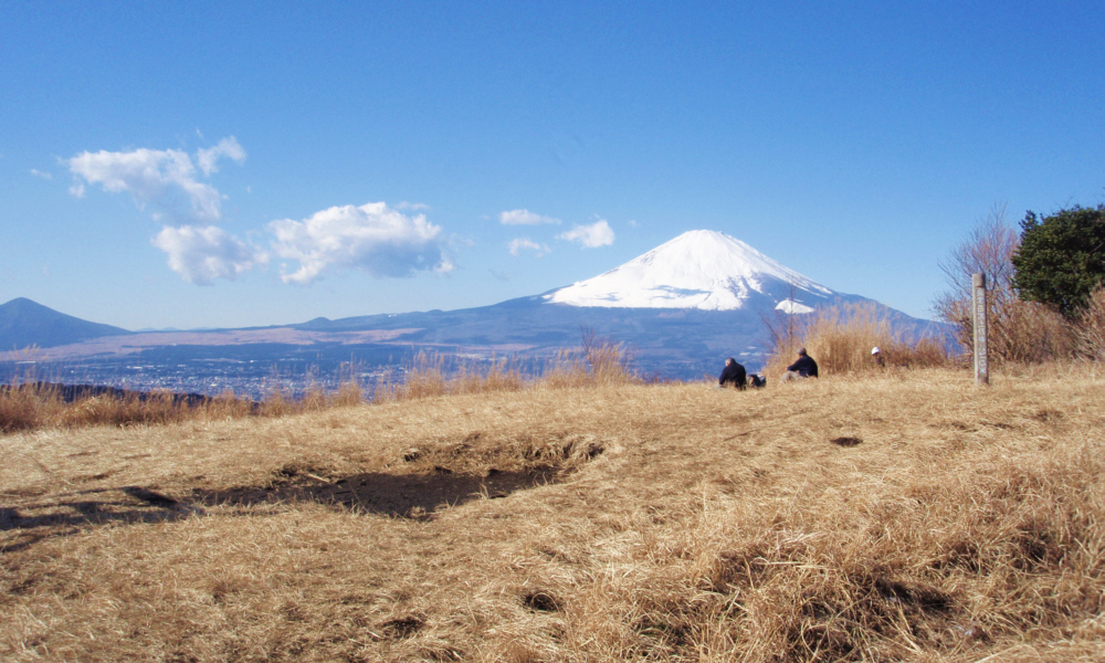 矢倉岳山頂