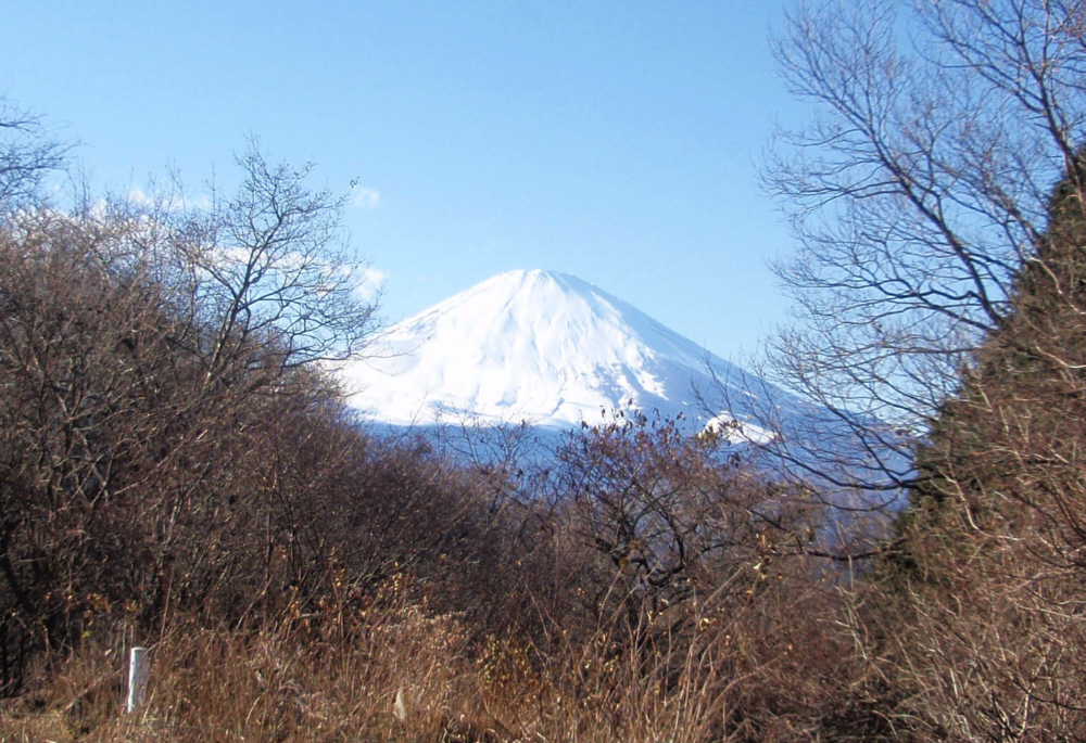 万葉公園入口バス停横からの富士山