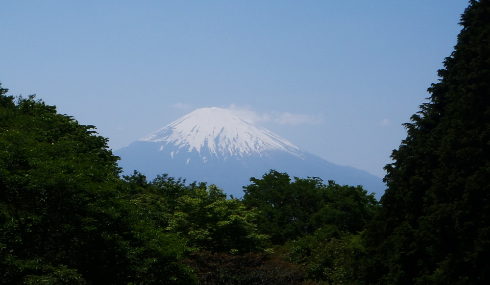 希望の丘からの富士山