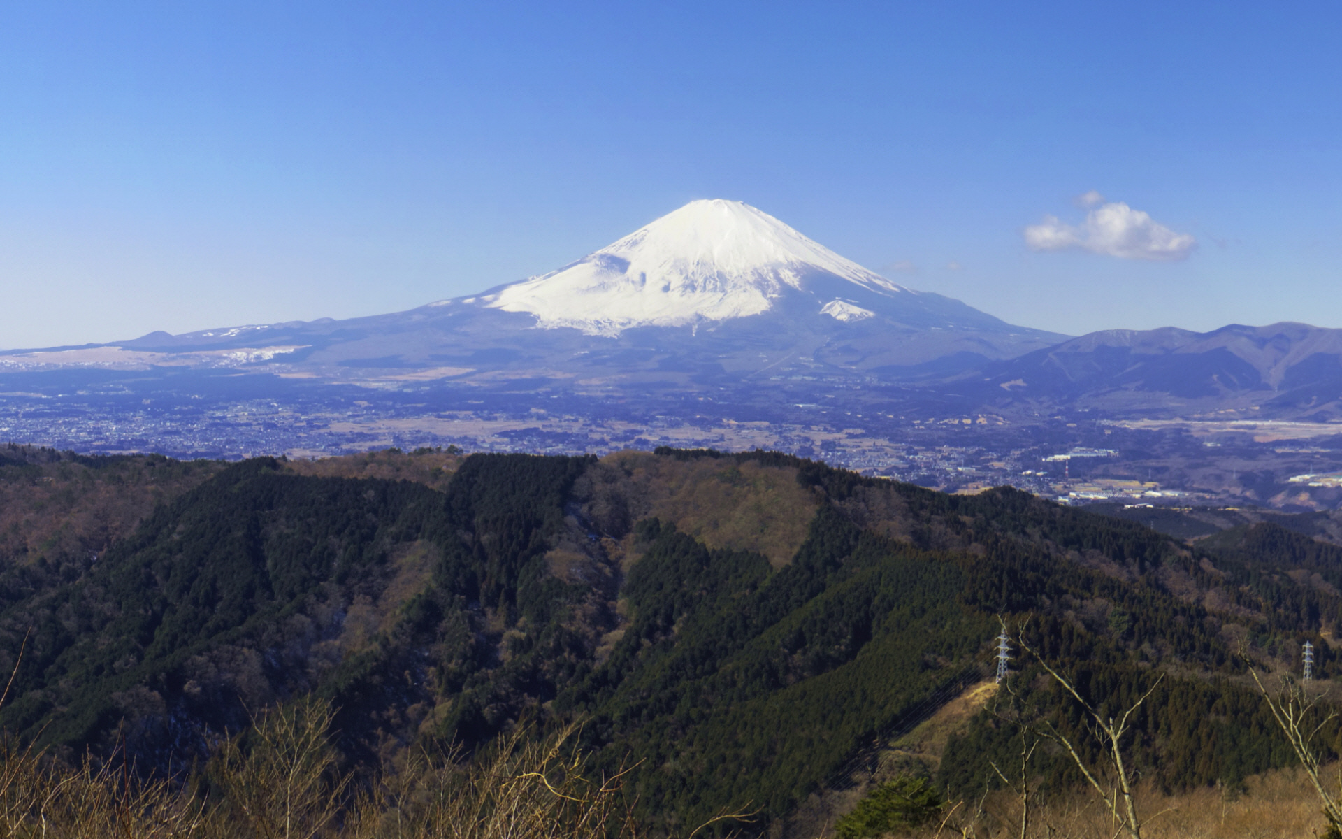 ��q�x�R������̕x�m�R