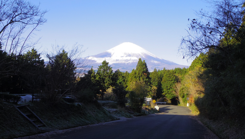 坂道を登り振り返ると富士山