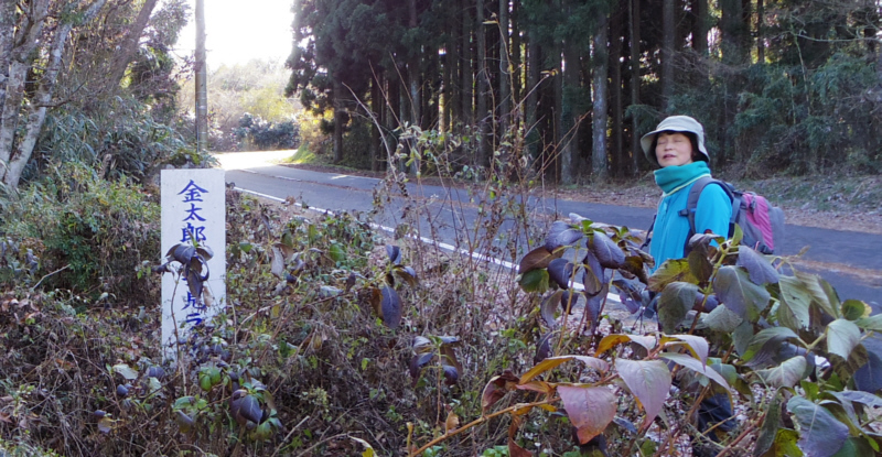 金太郎関係の標示板