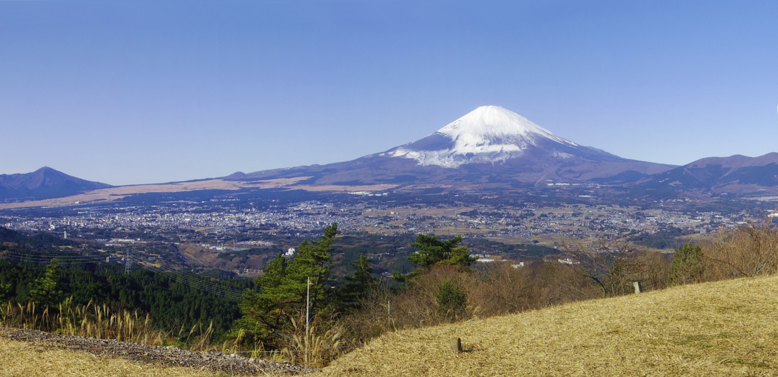 �����隬�W�]�n����̕x�m�R�@�@�@2014�N12��7��