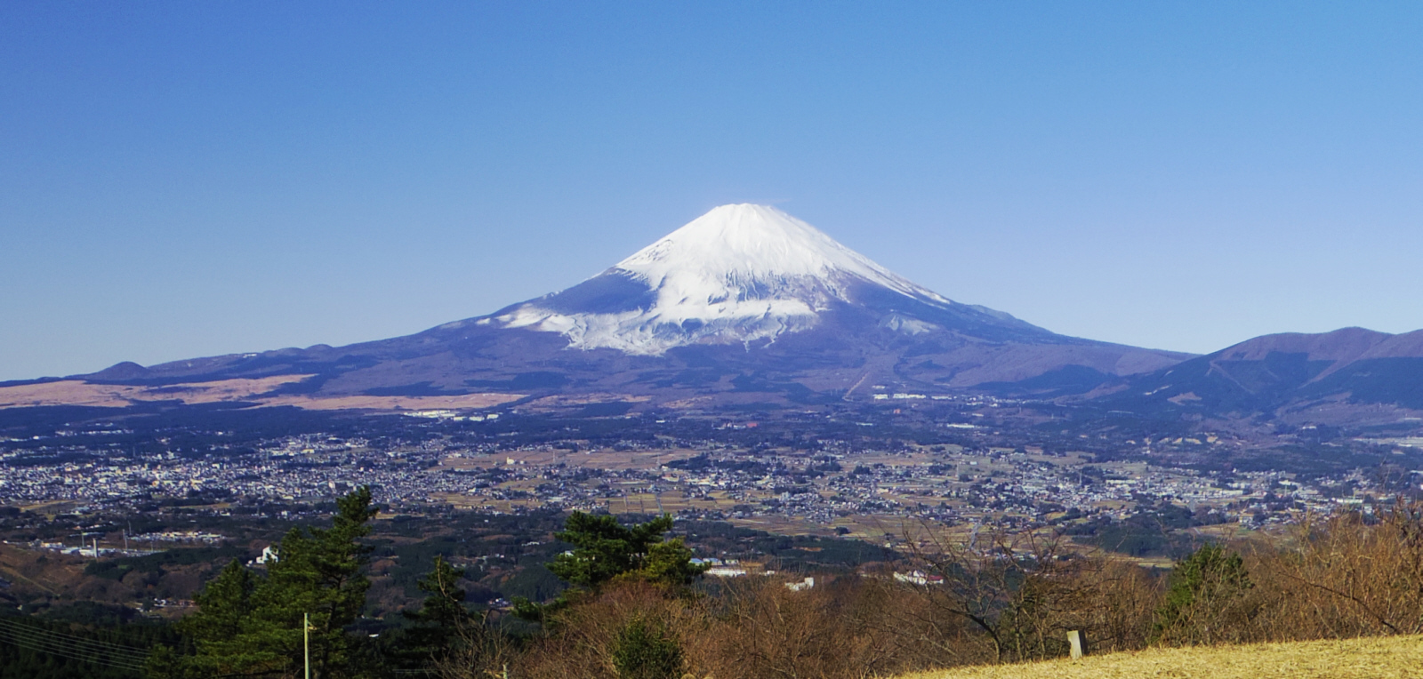 �����隬�W�]�n����̕x�m�R�@�@�@2014�N12��7��