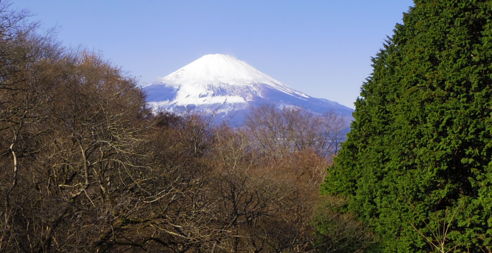 希望の丘石碑からの富士山