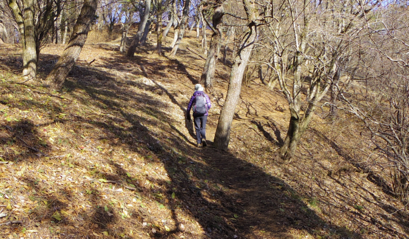 万葉公園を歩きます