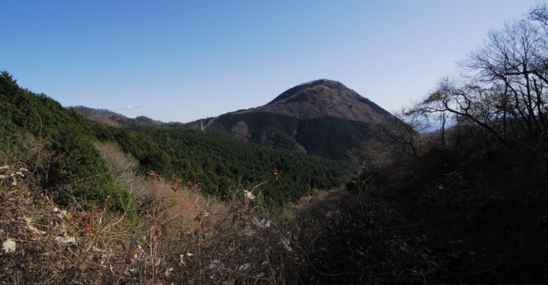 矢倉岳が見えてきました