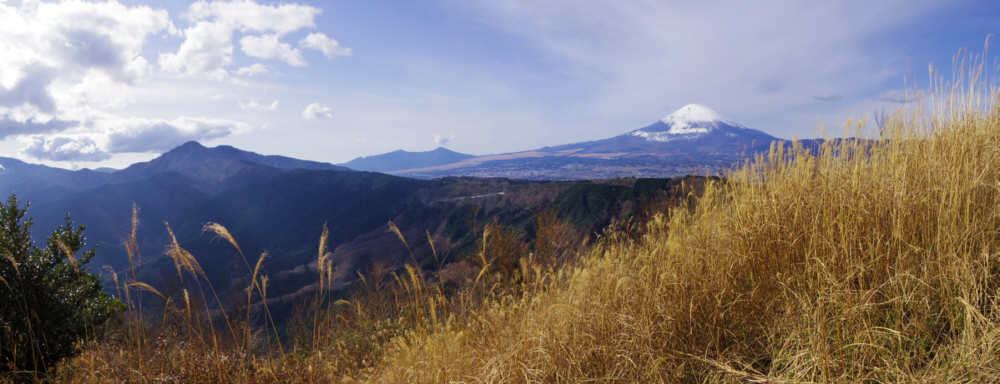 矢倉岳中腹からの富士山