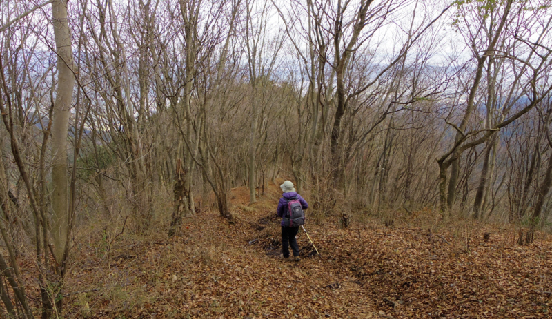 相棒さんが下山