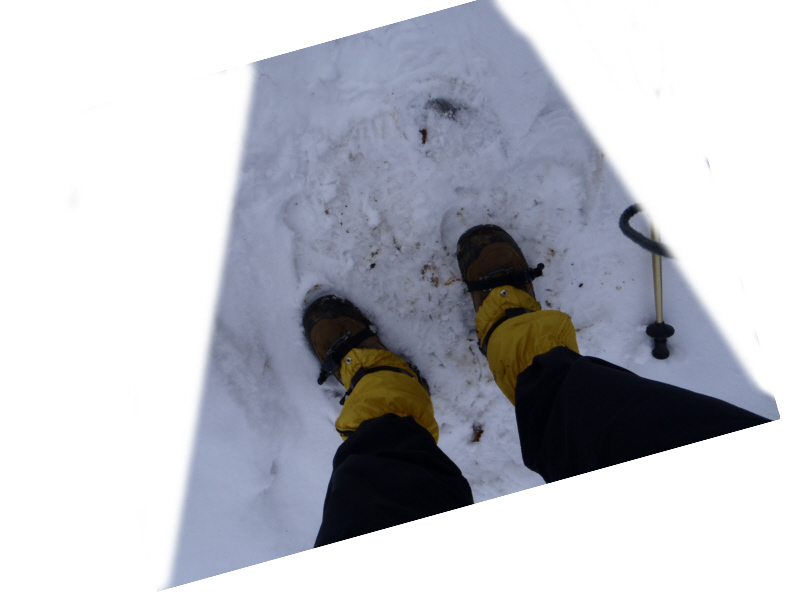 再び金時山山頂へ登ります