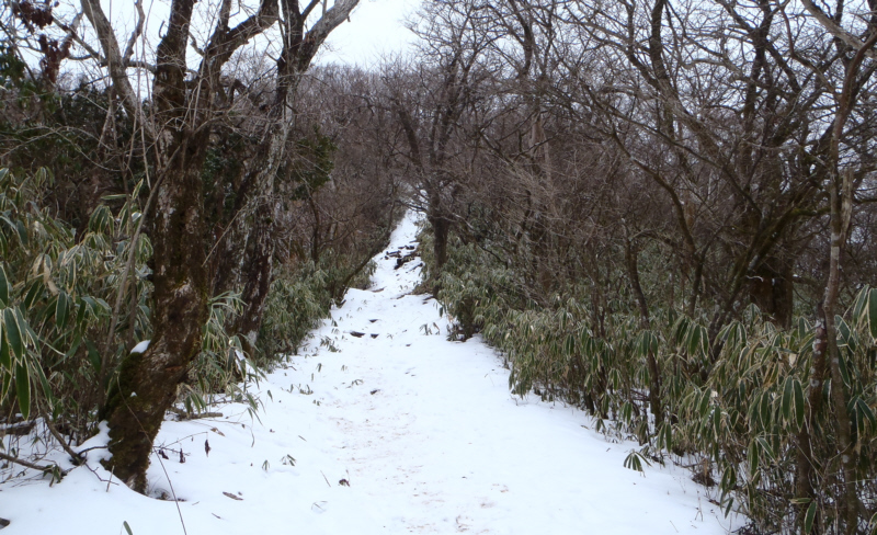 丸岳へいく雪道