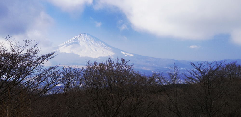 「待つと出てくる富士の山」
